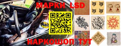 кокс Гатчина