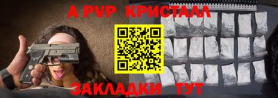 кокс Гатчина