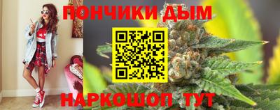 кокс Гатчина