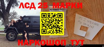 кокс Гатчина
