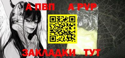 кокс Гатчина
