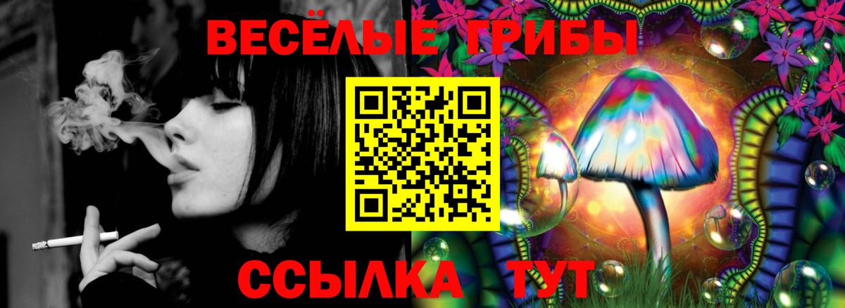 Галлюциногенные грибы ЛСД Родники